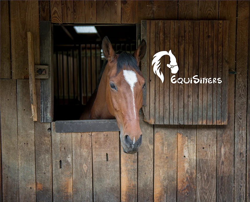 equisitters-miseensituation