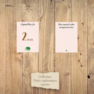 Cartes étapes mensuelles bébé - Collection “Petits explorateurs marins”.
