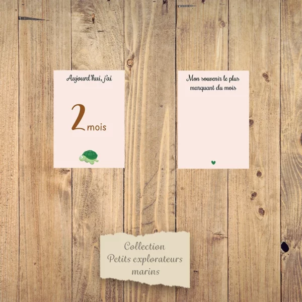 Cartes étapes mensuelles bébé - Collection “Petits explorateurs marins”.