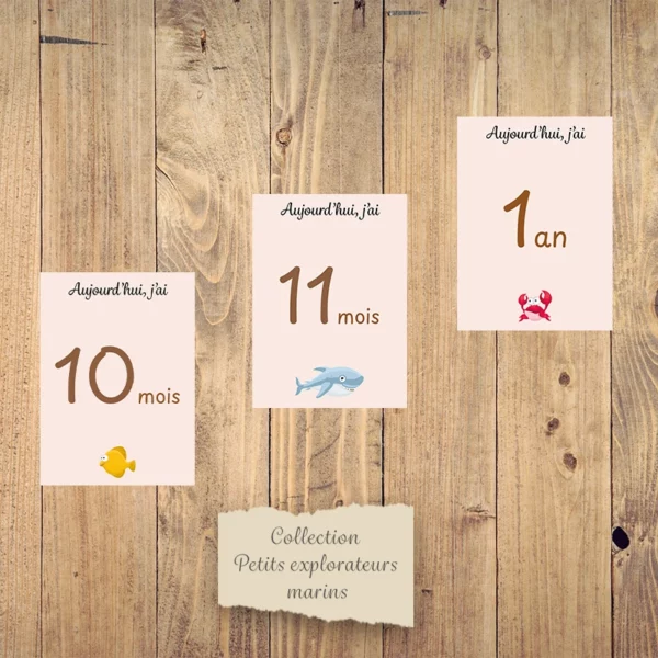 Cartes étapes mensuelles bébé - Collection “Petits explorateurs marins”. – Image 5
