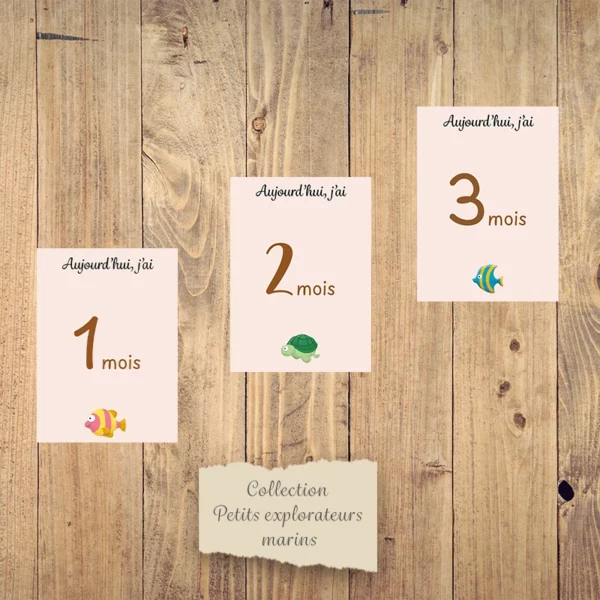 Cartes étapes mensuelles bébé - Collection “Petits explorateurs marins”. – Image 2
