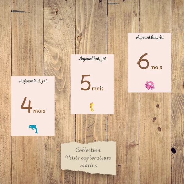 Cartes étapes mensuelles bébé - Collection “Petits explorateurs marins”. – Image 3