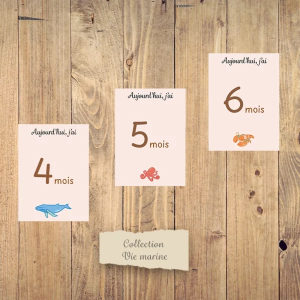 Cartes étapes mensuelles bébé - Collection “Vie marine”. – Image 3