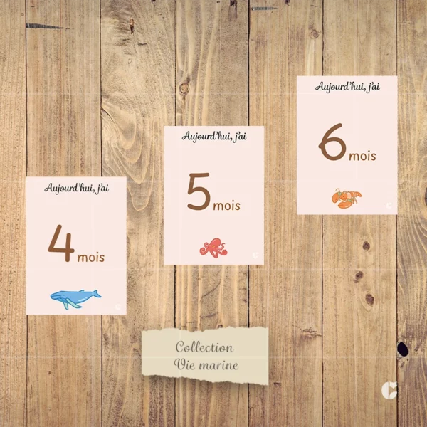 Cartes étape mensuelle bébé de la collection nommée Vie marine. Cartes du quatrième au sixième mois