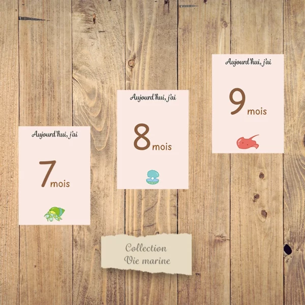 Cartes étapes mensuelles bébé - Collection “Vie marine”. – Image 4