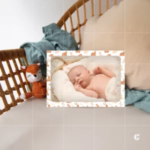 Faire-part de naissance Le monde des lapinous