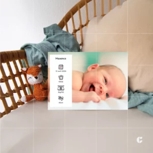 Faire-part de naissance Petit trésor