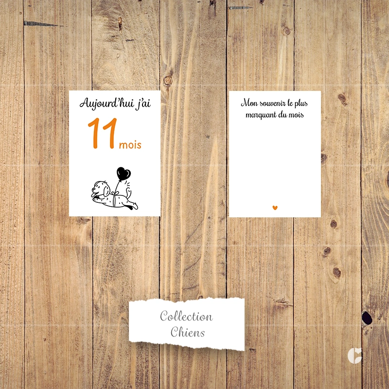 Carte étape bébé 11 mois recto verso avec la phrase « Mon souvenir le plus marquant du mois » au dos. Carte de la collection chiens doodle