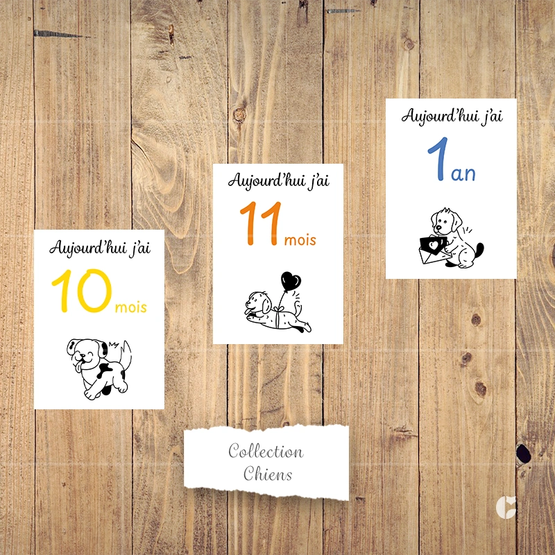 Cartes étapes bébé 10 mois à 1 an de la collection Chien doodle présentées côte à côte