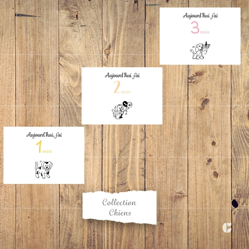 Cartes étapes bébé 1 à 3 mois de la collection chiens doodle présentées côte à côte