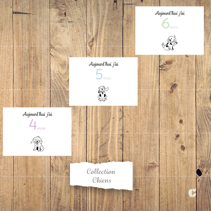 Cartes étapes bébé 4 à 6 mois de la collection chiens doodle présentées côte à côte