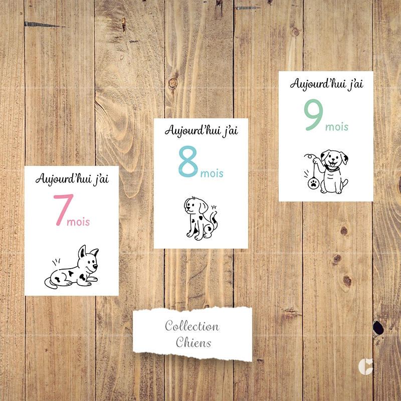 Cartes étapes bébé 7 à 9 mois de la collection chiens doodle présentées côte à côte